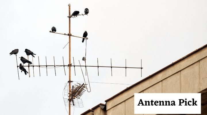 Steps for Optimally Placing an Outdoor TV Antenna